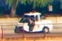 Park Cop
