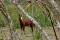 163699-210x140
