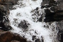 163616-210x140