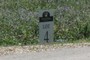 Lot 4