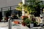 Roof garden :)