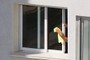 window washing