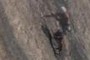 Rock climber II