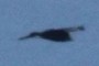 Pajaro