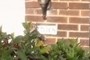 House number
