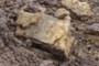 Sulfur-rich Deposits