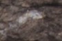 Stromatoporoid Fossil