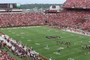 1st Quarter Action