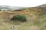 osmington oolite