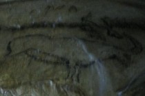 166310-210x140