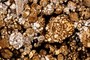 Chondrules