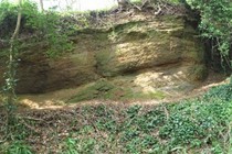 166958-210x140