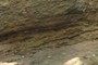 iron rich seams