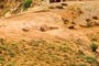 White Rim Trail