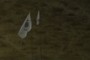 Lebanese Forces Flag