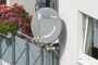 Sattelite Dish