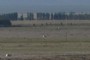 zoomed in more 
