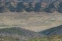 Bear Valley