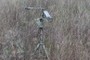 weather station