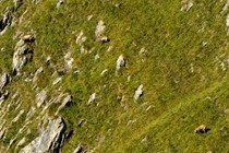 167518-210x140