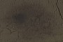 Mold