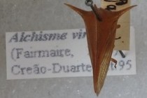 193941-210x140