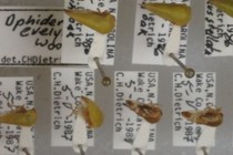 194222-210x140