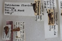 194227-210x140