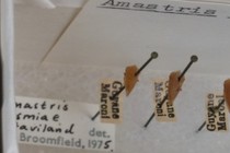 194241-210x140