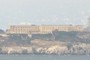 Alcatraz