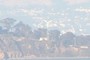 Angel Island Power