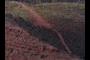 Trail