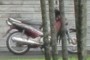 Motorcycle