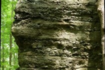 173732-210x140