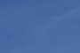 Swiss Airforce - FA-18