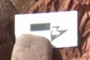 Scale bar