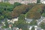 Bad Neuenahr, Kurpark