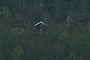 Small cabin?