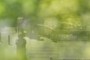 Link to see the 360 from this point of view