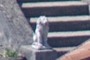 small stone lion