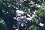 surveillance cameras