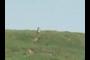 Little Solsbury Hill