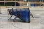 blue bin