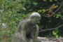 Doting monument