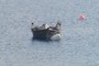 what kind of boat