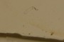 Edge of Slide
