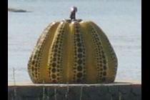 18248-210x140