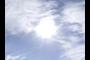 sole