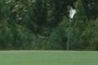 Flag on 17th Green