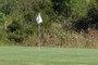 16th Green